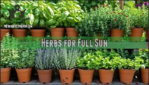 herbs for full sun