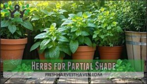 herbs for partial shade