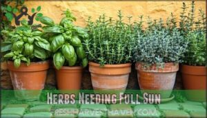 herbs needing full sun