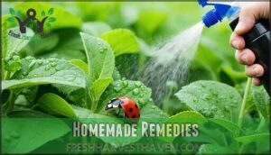 homemade remedies