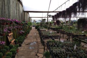HONOPLANTAS GARDEN CENTER