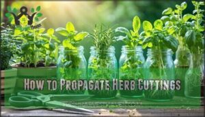 how to propagate herb cuttings