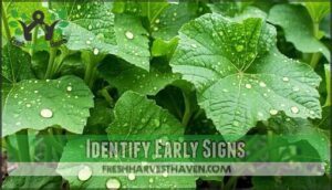 identify early signs