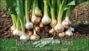 identifying maturity signs