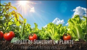 impact of sunlight on plants