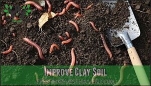 improve clay soil