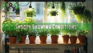 indoor growing conditions