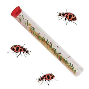 Insect Lore Tube of Ladybug B088C4LQP1