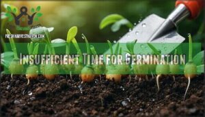 insufficient time for germination