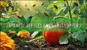 japanese beetles and grasshoppers