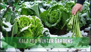 kale for winter gardens