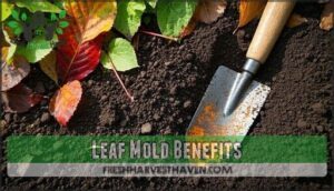 leaf mold benefits