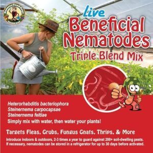 Live Beneficial Nematodes Hb+Sc+Sf   B07DQT735W