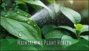maintaining plant health