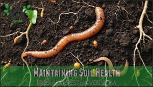 maintaining soil health