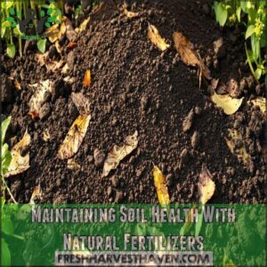 maintaining soil health with natural fertilizers