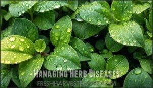 managing herb diseases