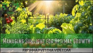 managing sunlight for optimal growth