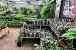 Manawee Garden Centre