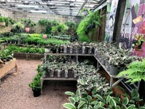 Manawee Garden Centre