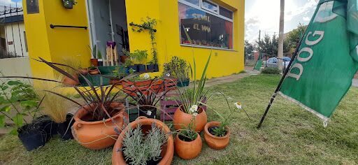 Manchita Vivero