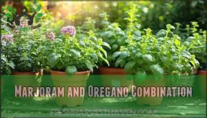 marjoram and oregano combination