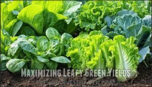 maximizing leafy green yields