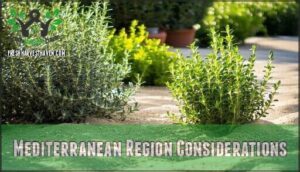 mediterranean region considerations
