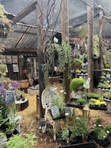 Memerambi Springs garden centre