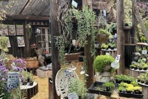 Memerambi Springs garden centre