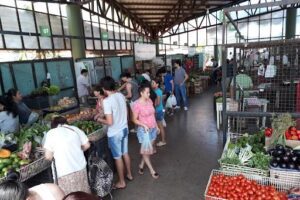 Mercado Concentrador Zonal - Posadas