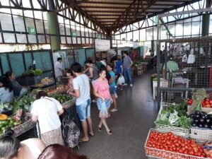 Mercado Concentrador Zonal - Posadas