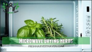 microwave drying herbs