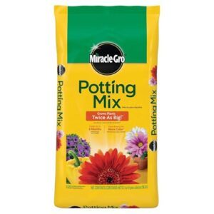Miracle Gro Potting Mix, For Container B00GTDI9OQ