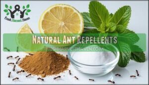 natural ant repellents