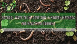 natural ways to improve soil
