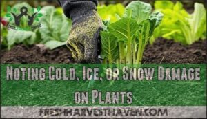 noting cold, ice, or snow damage on plants