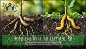nutrient availability and ph