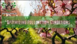 optimizing pollination conditions