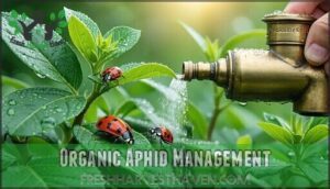 organic aphid management