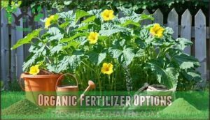 organic fertilizer options