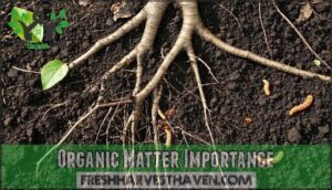 organic matter importance