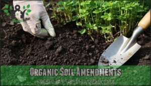 organic soil amendments
