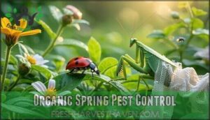 organic spring pest control