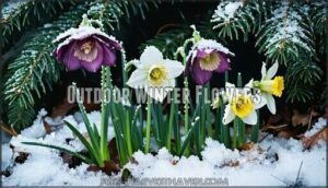 outdoor winter flowers