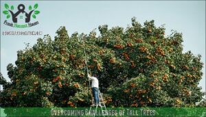 overcoming challenges of tall trees