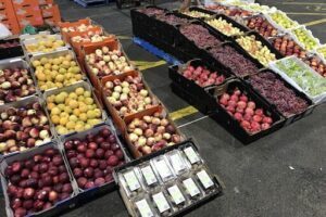 Paddy's Markets Flemington