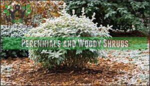 perennials and woody shrubs