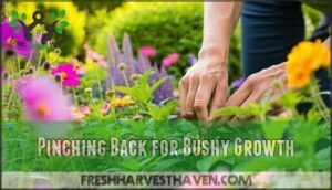 pinching back for bushy growth