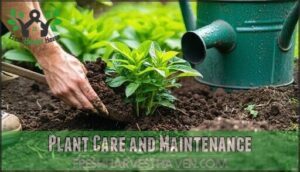 plant care and maintenance